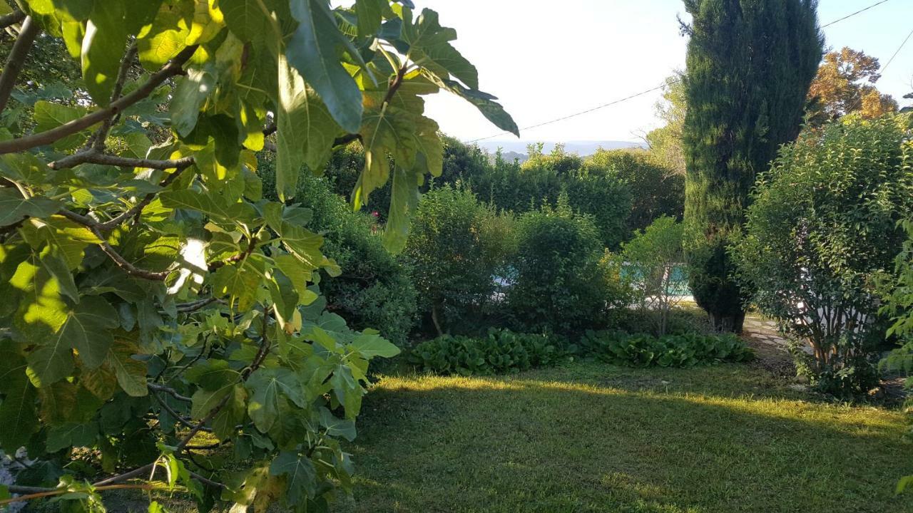Reve De Provence Villa Avec Jardin Et Piscine فورْكيلكييه المظهر الخارجي الصورة